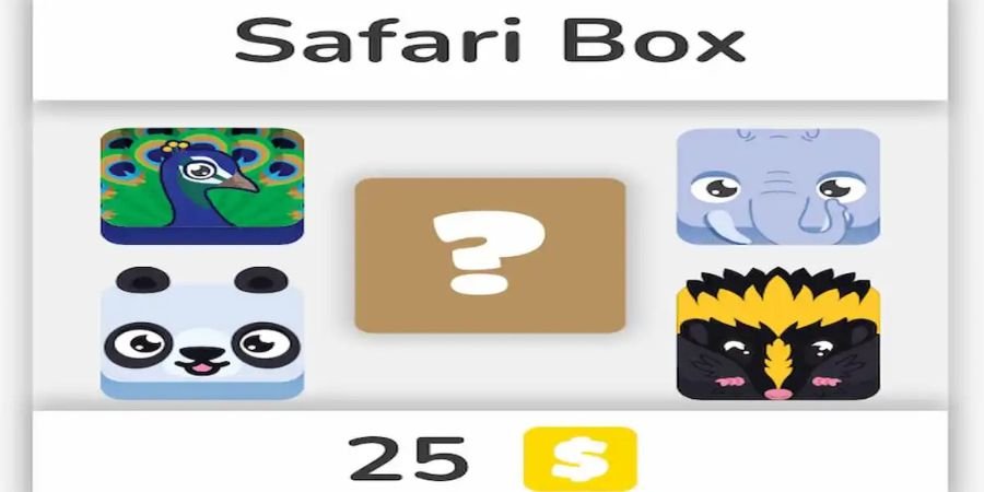 safari box