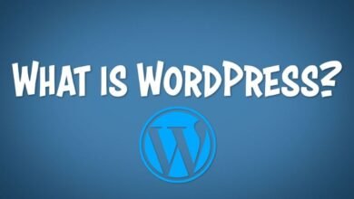 custom website development cost versus wordpress