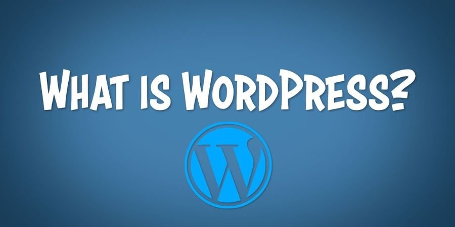 custom website development cost versus wordpress