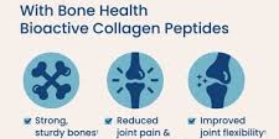 nativepath collagen