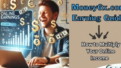 money6x.com online income