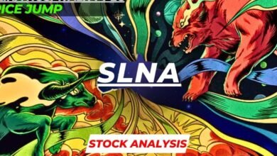 slna stock