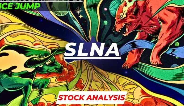 slna stock