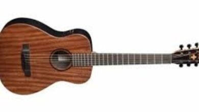 ed sheeran guitar